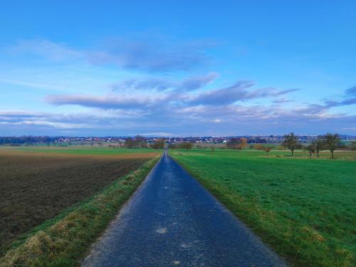a road in the middle of a field at Ferienwohnung Belvie 3 in Butzbach