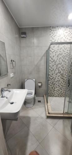 Vannituba majutusasutuses apartament pirosmani