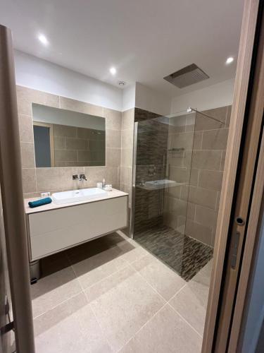 Ένα μπάνιο στο Superbe appartement en centre ville