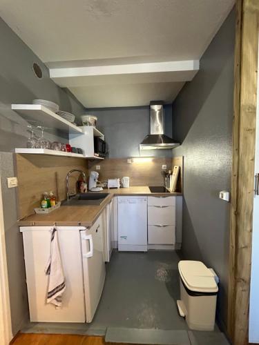 una pequeña cocina con lavabo y aseo en Appt entier rdc 1 chambre Allée d'Etigny en Luchon