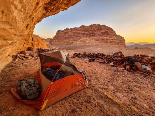 ein Zelt in der Wüste mit einer Gruppe von Tieren in der Unterkunft Adventure camping - Organized Trekking from Dana to Petra in Dana