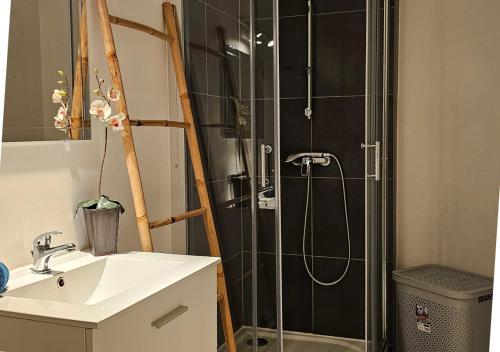 Bilik mandi di Castelnaudary - Appartement JARDIN