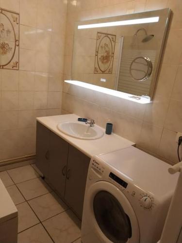 une salle de bain avec un lavabo et une machine à laver dans l'établissement Agréable maison 2 ch 5 mins Valenciennes et garage, à Anzin