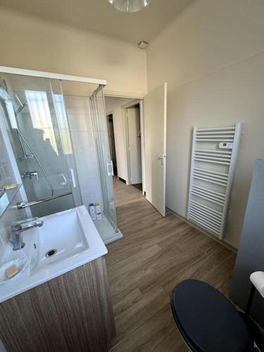 une salle de bain avec un lavabo et un miroir dans l'établissement Appartement Sabatier T4 avec terrasse et jardin, à Carcassonne