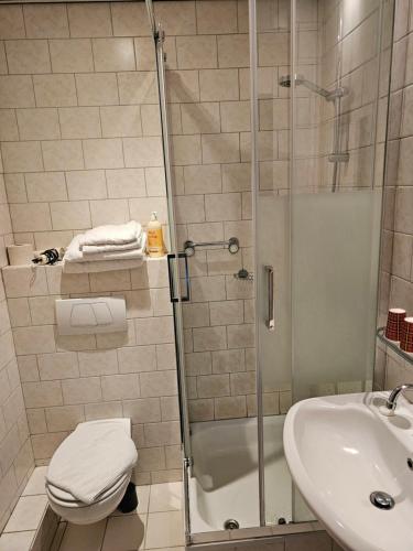 a bathroom with a shower and a toilet and a sink at hotel le bonheur in Eijsden