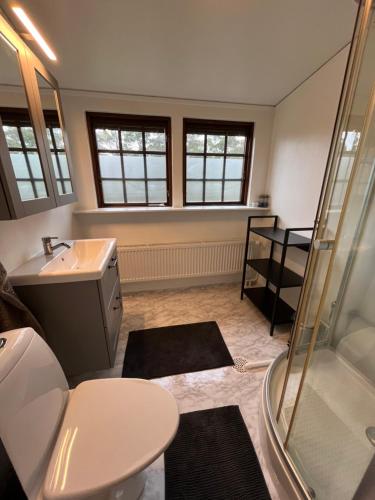 a bathroom with a shower and a sink and a toilet at Hela huset västerhejde in Visby