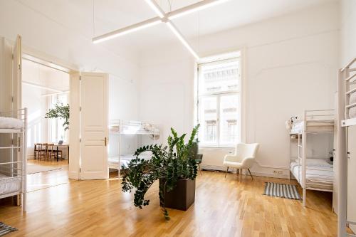 a white room with a potted plant in it at Jupiter Home Buda in Budapest