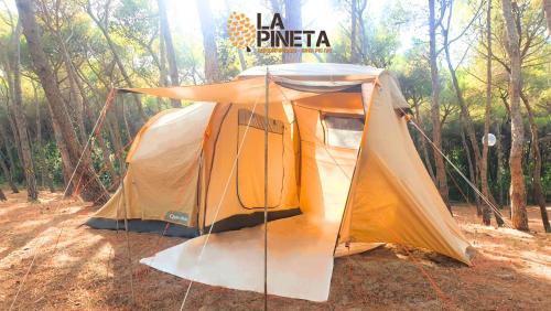 Φωτογραφία από το άλμπουμ του Agricampeggio La Pineta σε Lesina