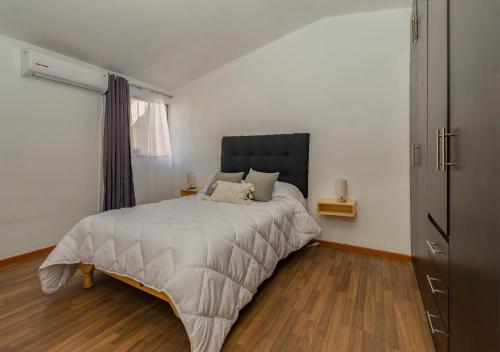 1 dormitorio con 1 cama grande y cabecero negro en Charming 3-Bed House in Chihuahua en Chihuahua