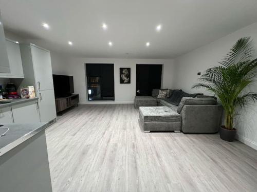 a living room with a couch and a plant in it at Monthly Discounts - Contractors - Business in Brentwood