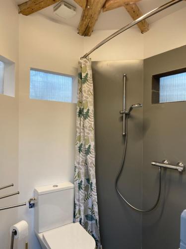 La salle de bains est pourvue d'une douche et de toilettes. dans l'établissement Les Hôtes de Sermaize, à Bois-le-Roi