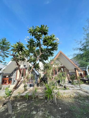 a house with a tree in front of it at Meno Melani guesthouse in Gili Meno