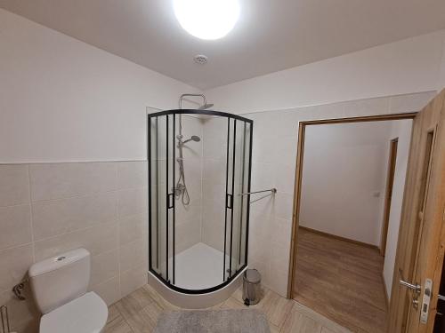 łazienka z prysznicem, toaletą i lampką w obiekcie Marysieńka w mieście Kwatoniów