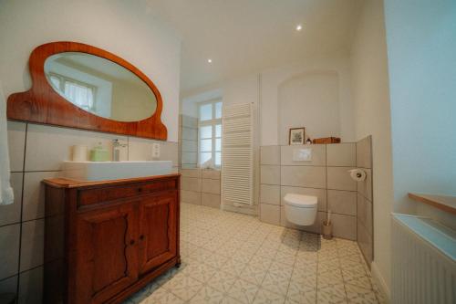 a bathroom with a sink and a mirror and a toilet at Residenz Moselliebe in Traben-Trarbach