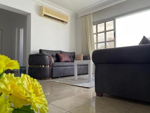 City center Delta Sharm Compound with swimming pool