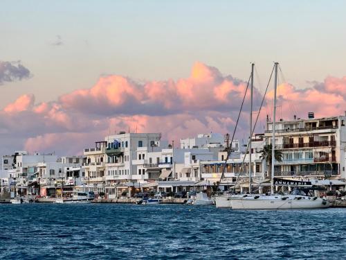un groupe de bâtiments avec des bateaux dans l'eau dans l'établissement Central Cycladic Cove in Naxos Town, à Naxos Chora
