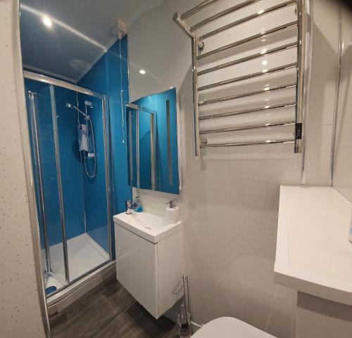 a bathroom with a toilet and a shower at Brand New Private Annex Guest Suite in Chandlers Ford