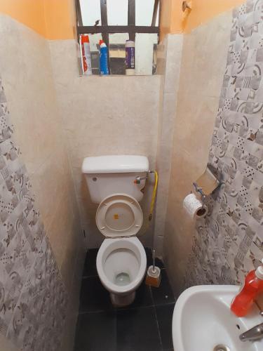 a small bathroom with a toilet and a sink at JAYDE COSSY HOMES in Nakuru