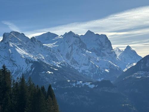 a snow covered mountain range with trees in the foreground at Ferienwohnung im Chalet Bergruh - Hasliberg Reuti in Hasliberg