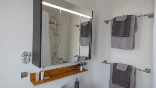 uma casa de banho com um espelho e um chuveiro em Gästehaus Hoxel em Hoxel