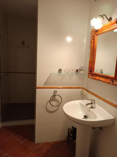 a bathroom with a sink and a shower and a mirror at Turismo Rural Calaliu in Peratallada