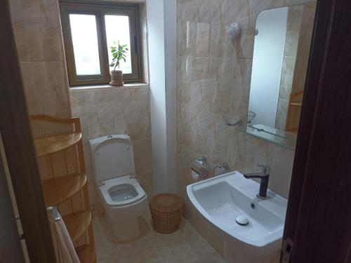uma casa de banho com um lavatório, um WC e uma janela. em ADB Properties em Ogbojo