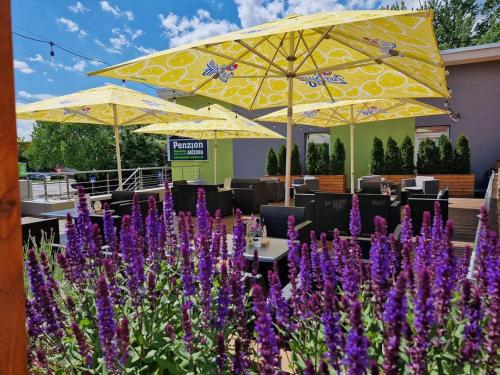a garden with purple flowers and yellow umbrellas at Penzión Arizona in Zlaté Moravce