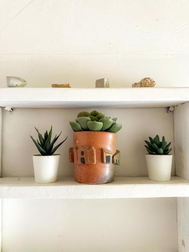 a shelf with three potted plants on it at Casa da Glória Trancoso - Pousada Boutique in Trancoso