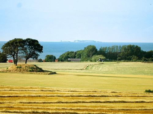 a field with a tree and the ocean in the background at 6 person holiday home in Svaneke in Svaneke