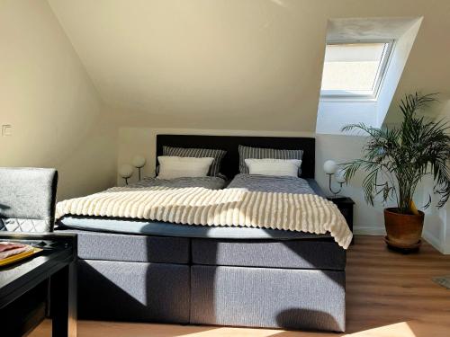 Schlafzimmer mit einem Bett mit einem schwarzen Kopfteil in der Unterkunft Ferienhaus Merl in Zell an der Mosel