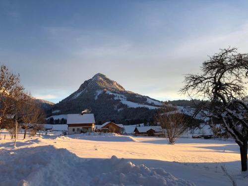 a snow covered field with a mountain in the background at Appartement Lärchenwald in Tauplitz