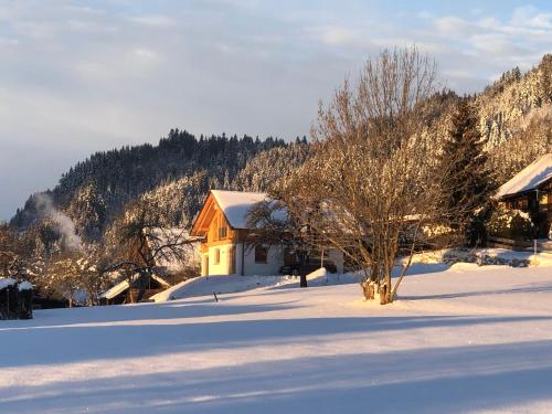 a house in the snow with a tree at Appartement Lärchenwald in Tauplitz