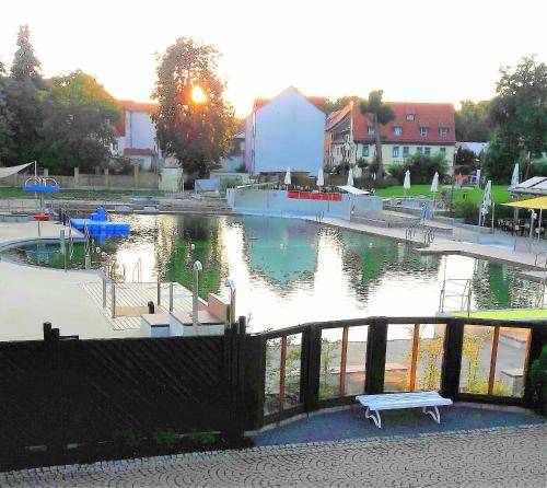 un parque con un banco en un cuerpo de agua en Ferienhaus Strauss nahe der Kyffhäuser Therme, en Bad Frankenhausen