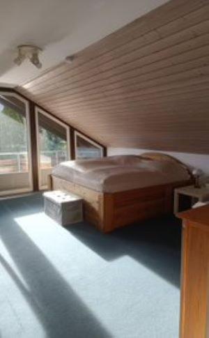 a bedroom with a bed in a room with windows at Ferienhaus Kirschblüte in Wolfshagen im Harz in Wolfshagen