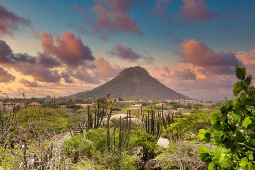 a view of a mountain with a hill in the background at Hidden Villa Aruba in Oranjestad