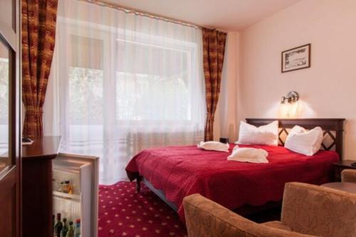 Gallery image of Hotel Alice in Băile Olăneşti
