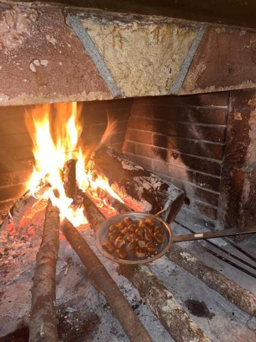 Φωτογραφία από το άλμπουμ του Guesthouse Kastania Korakis στην Καστανιά