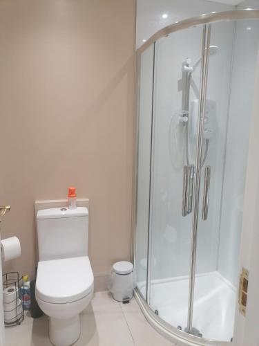 a white bathroom with a shower and a toilet at The Beeches in Newry