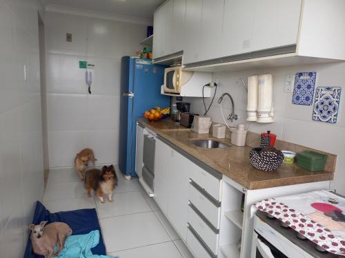 two dogs are standing in a kitchen with a sink at Suíte Aconchegante in Belém