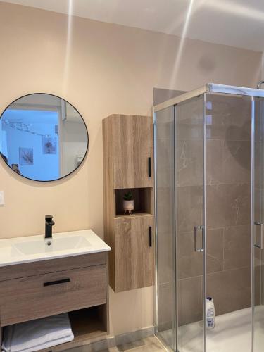 une salle de bain avec un lavabo et une douche dans l'établissement Studio avec terrasse, à Dijon