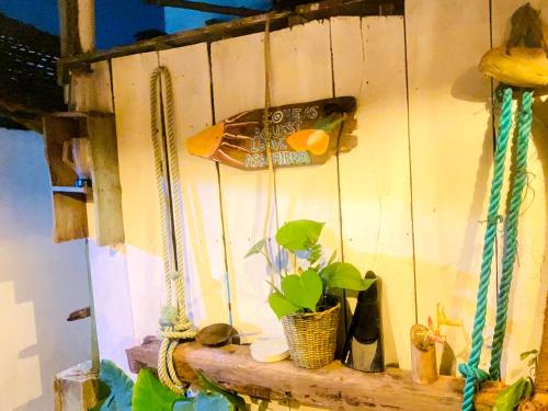 a surfboard hanging on a wall with a potted plant at Amaranthe Beach Cabanas in Galle