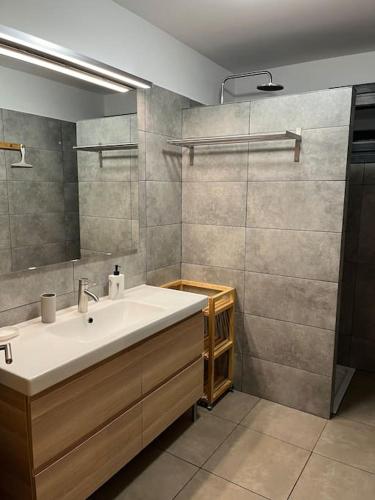 une salle de bain avec un lavabo et une douche en verre dans l'établissement Gîte la biche des écrins, à Prunières