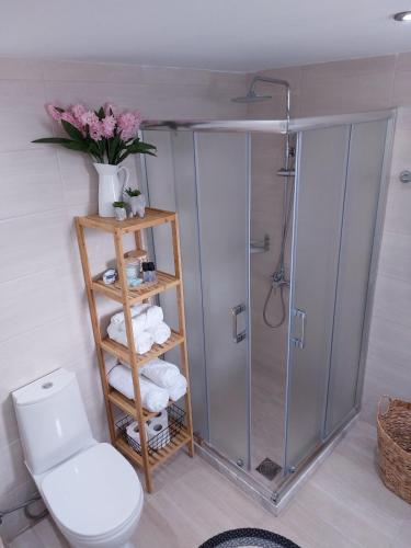 a bathroom with a shower with a toilet and towels at Afandou Square Apartment in Afantou