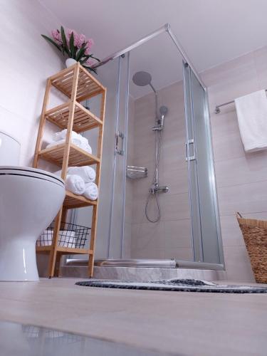 a bathroom with a shower with a toilet and a sink at Afandou Square Apartment in Afantou