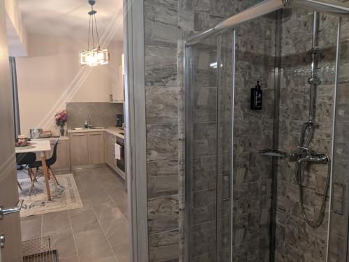 a bathroom with a walk in shower next to a kitchen at Aristo Central Apartments in Ioannina