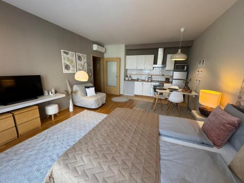 ブダペストにあるCentral Passage Urban Nestのリビングルーム(大型ベッド1台付)、キッチンが備わります。