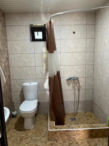 een badkamer met een toilet en een douche bij Jelini in Dilidzjan