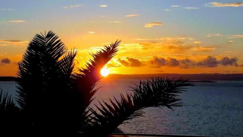 a sunset with a palm tree in front of the water at Mavi Panorama Villa in Cesme