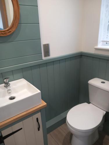 a bathroom with a white toilet and a sink at The Mad Hatter's Hut in Carlisle