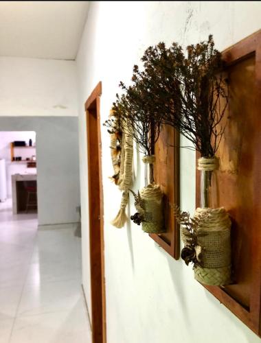Un mur avec quelques plantes en vases sur lui dans l'établissement Green House, à Corumbau